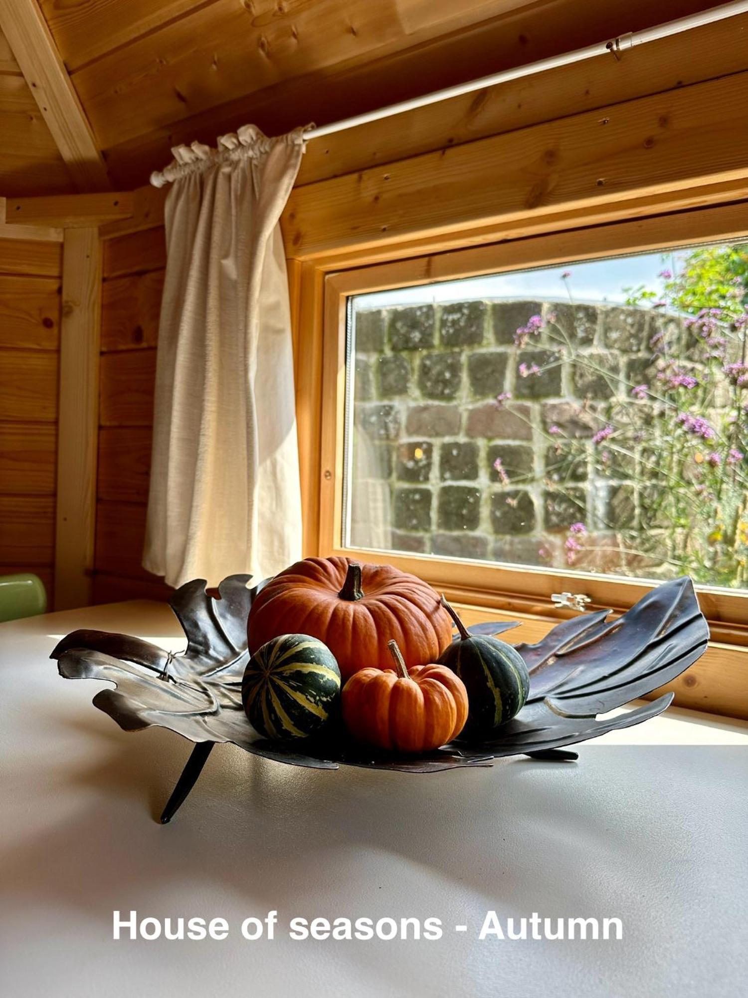 B&B Cosy Garden Alblasserdam Zimmer foto